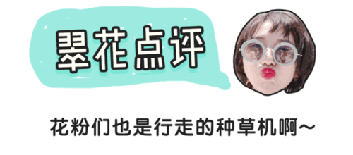 讀者曬貨 2018年:這些東西買得最滿意閱讀臺燈